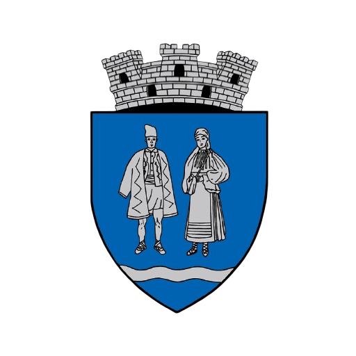 Primăria Însurăței